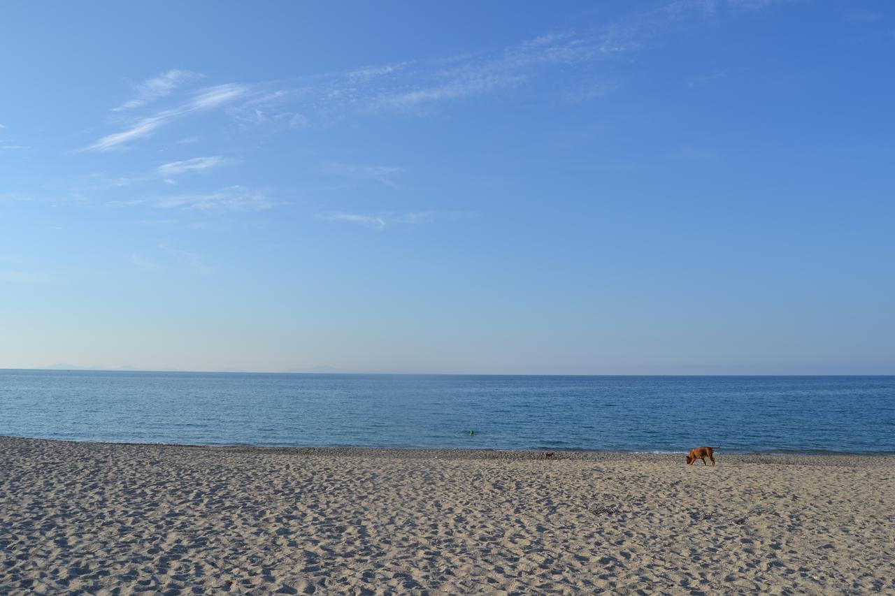 Miramare Struttura Sulla Spiaggia Platamona Luaran gambar
