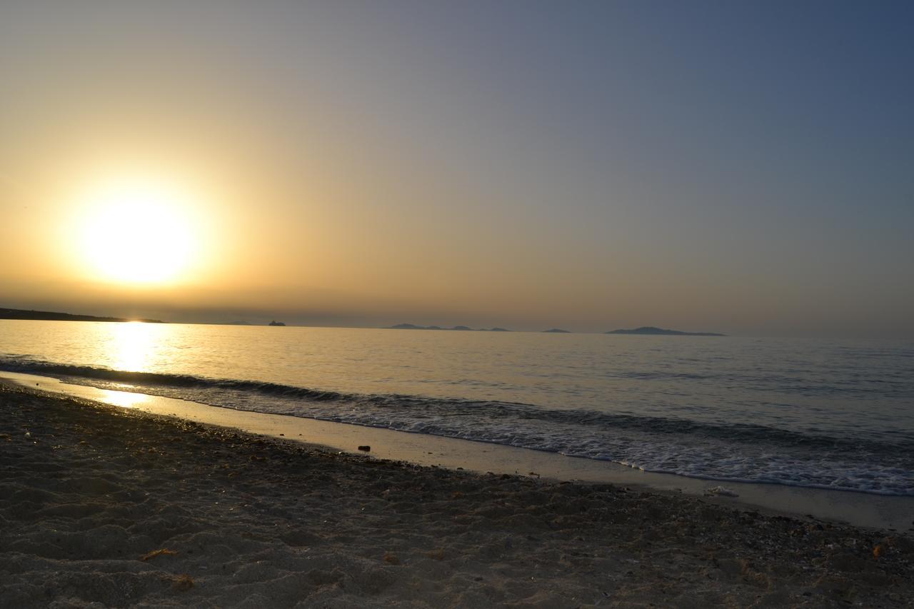 Miramare Struttura Sulla Spiaggia Platamona Luaran gambar